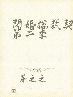 闪婚总裁契约妻第二季