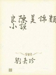 良陈美锦类似的小说