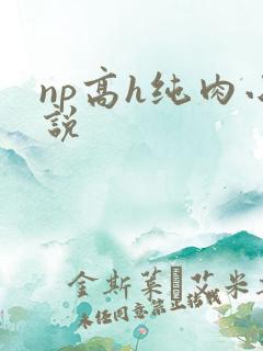 np高h纯肉小说