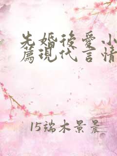 先婚后爱小说推荐现代言情