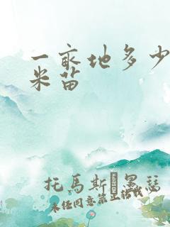 一亩地多少棵玉米苗