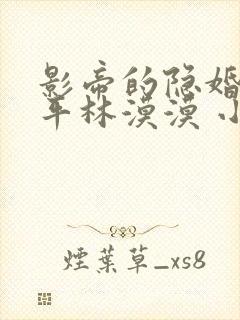 影帝的隐婚妻子平林漠漠 小说