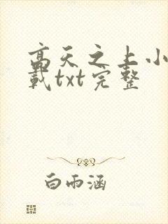 高天之上小说下载txt完整