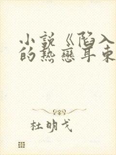 小说《陷入我们的热恋耳东兔子》