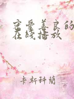 密爱善良的嫂子在线播放