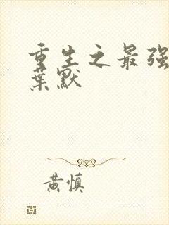 重生之最强弃少叶默
