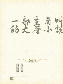 一部主角叫林凡的大唐小说