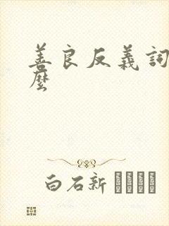 善良反义词是什么