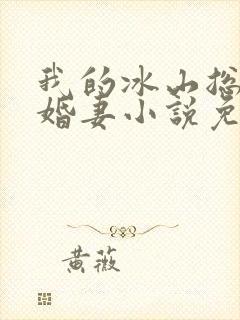 我的冰山总裁未婚妻小说免费阅读