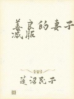善良的妻子无删减版