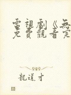 电视剧《无间》免费观看完整版高清