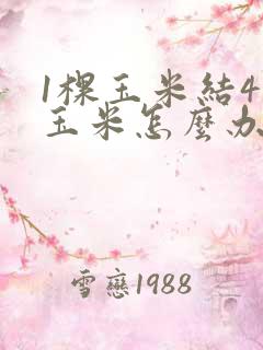 1棵玉米结4个玉米怎么办