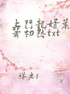 上门龙婿叶辰,萧初然txt