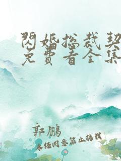 闪婚总裁契约妻免费看全集