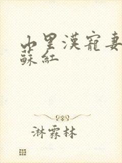 山里汉宠妻无度苏红