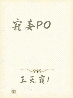 宠妾PO