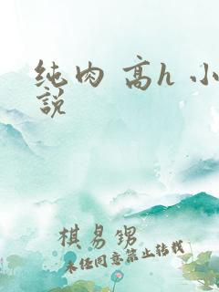 纯肉 高h 小说