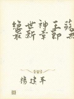 绝世神王苏莫 最新章节 无弹窗 笔趣阁