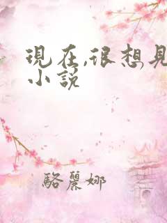 现在,很想见你小说