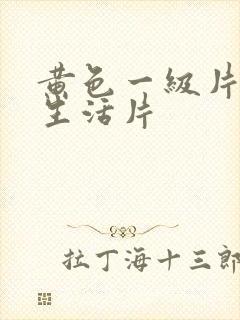 黄色一级片夫妻生活片