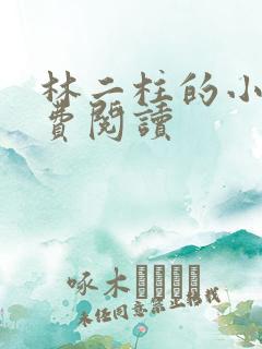 林二柱的小说免费阅读