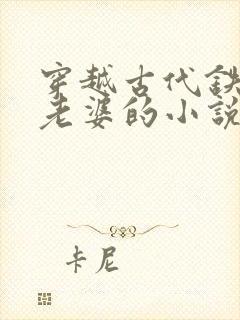穿越古代铁匠选老婆的小说