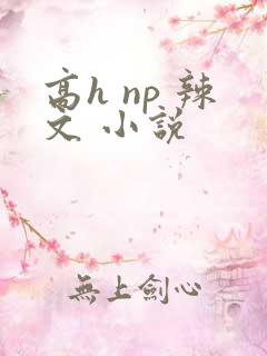 高h np 辣文 小说