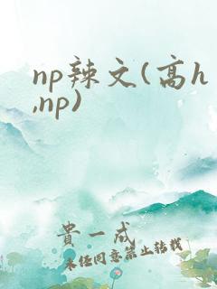 np辣文(高h,np)