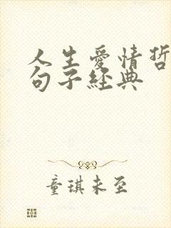 人生爱情哲理的句子经典