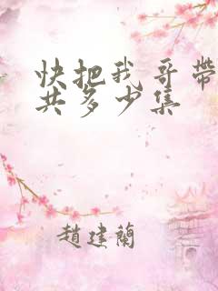 快把我哥带走一共多少集
