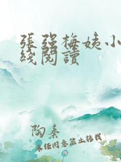 张强梅姨小说在线阅读