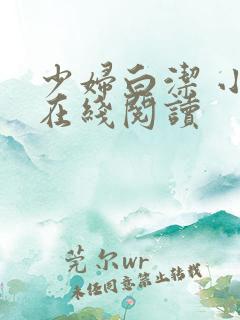 少妇白洁 小说在线阅读