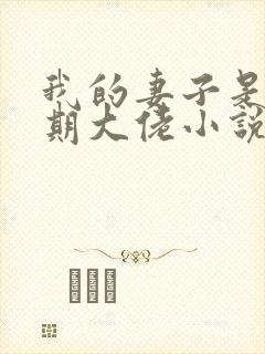 我的妻子是大乘期大佬小说在线