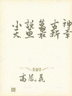 小说万古神帝飞天鱼最新章节目录