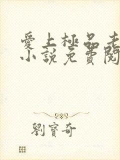 爱上极品老板娘小说免费阅读