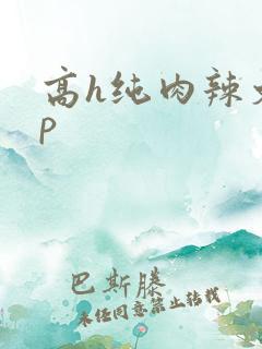 高h纯肉辣文np
