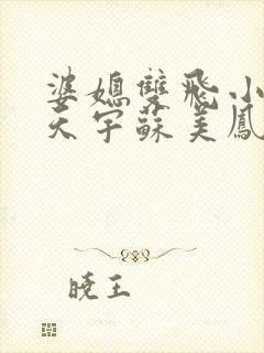 婆媳双飞小说纪天宇苏美凤免费阅读全文