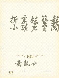 折寒枝簪起霜思小说免费阅读