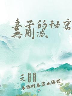 妻子的秘密动漫无删减