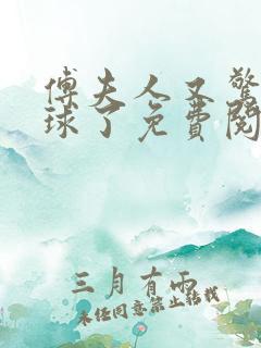 傅夫人又惊艳全球了免费阅读