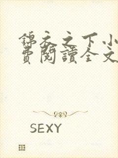 锦衣之下小说免费阅读全文正版