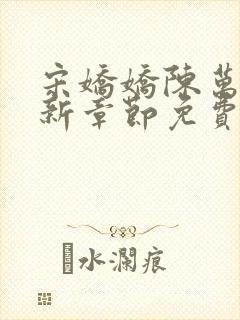 宋娇娇陈万里最新章节免费阅读小说