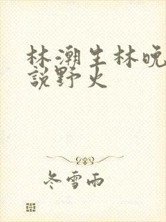 林潮生林晚晚小说野火