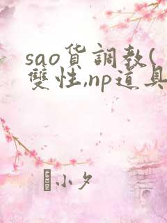sao货调教(双性,np道具