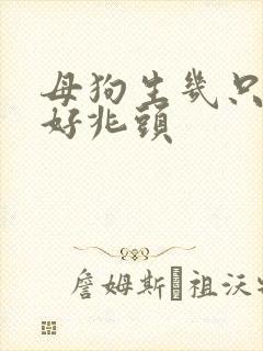 母狗生几只小狗好兆头