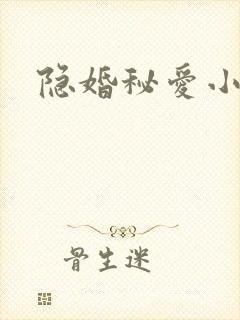 隐婚秘爱小说