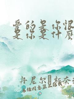 爱的是你恨的也是你是什么歌