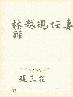 林越现任妻子是谁