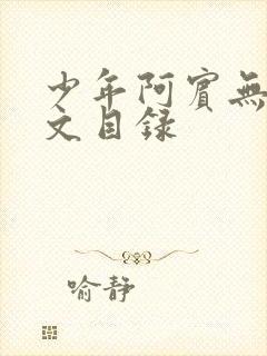 少年阿宾无删全文目录