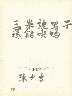 玉米被虫子吃了还能吃吗